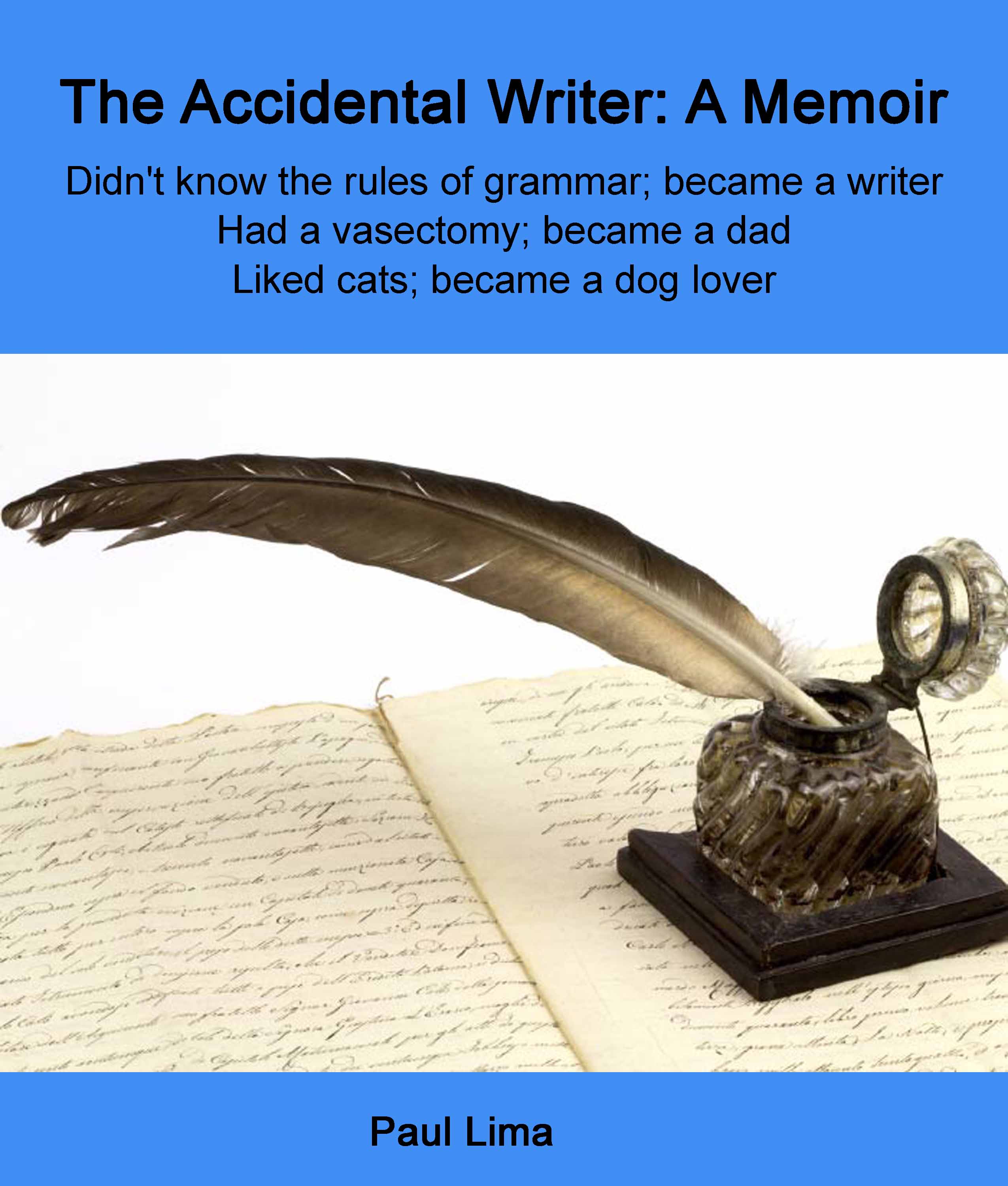 The Accidental Writer